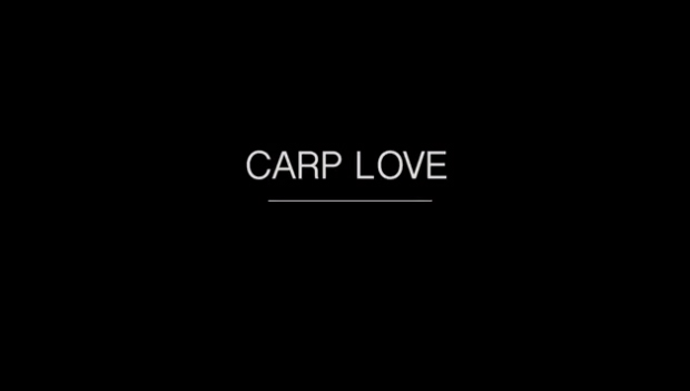 Carp love